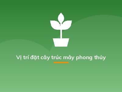 Vị trí đặt cây trúc mây phong thủy