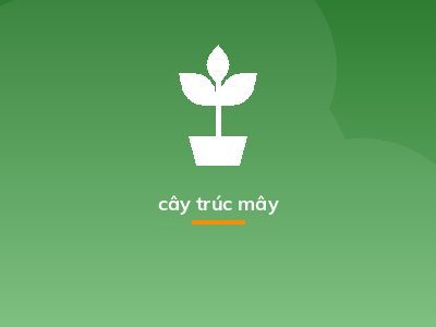 cây trúc mây