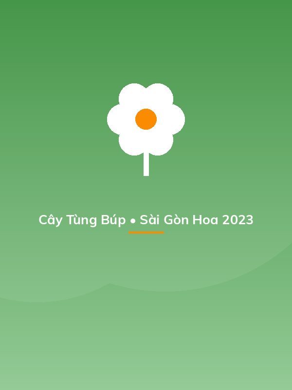Cay Tung But Chua Chua Trang Tri Tai Vuon