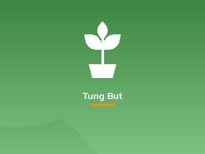 Tung But