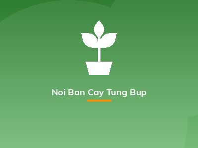Noi Ban Cay Tung Bup