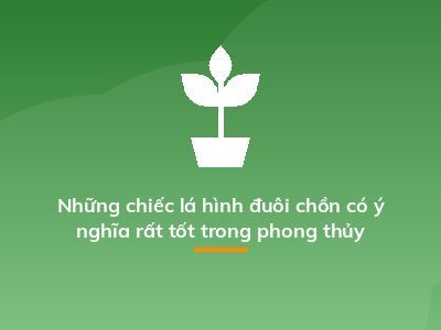 Những chiếc lá hình đuôi chồn có ý nghĩa rất tốt trong phong thủy