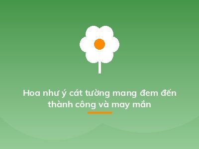 Hoa như ý cát tường mang đem đến thành công và may mắn