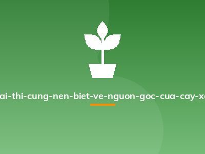 La-ai-thi-cung-nen-biet-ve-nguon-goc-cua-cay-xoan