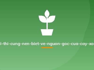 La-ai-thi-cung-nen-biet-ve-nguon-goc-cua-cay-xoan-1