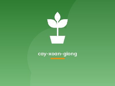 cay-xoan-giong