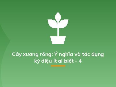 Cây xương rồng: Ý nghĩa và tác dụng kỳ diệu ít ai biết - 4