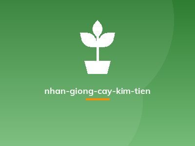 nhan-giong-cay-kim-tien