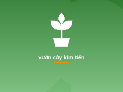 vườn cây kim tiền