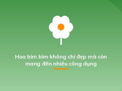 Hoa bìm bìm không chỉ đẹp mà còn mang đến nhiều công dụng