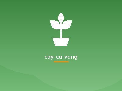 cay-ca-vang