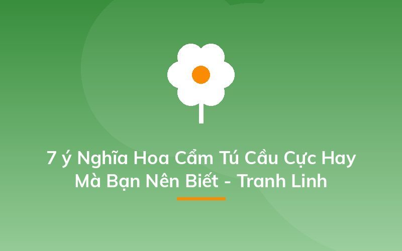7 ý Nghĩa Hoa Cẩm Tú Cầu Cực Hay Mà Bạn Nên Biết - Tranh Linh