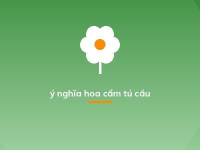ý nghĩa hoa cẩm tú cầu