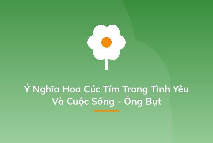 Ý Nghĩa Hoa Cúc Tím Trong Tình Yêu Và Cuộc Sống - Ông Bụt