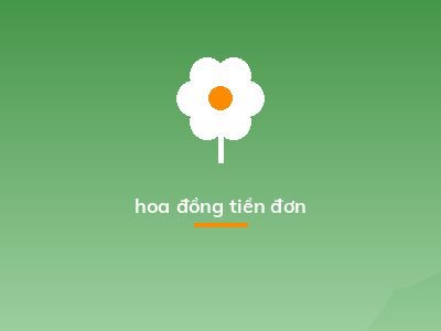 hoa đồng tiền đơn