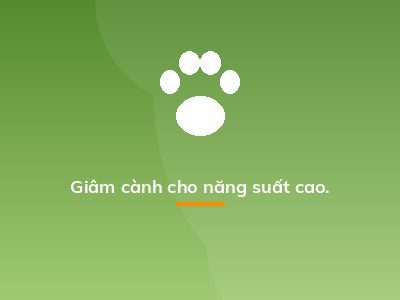 Giâm cành cho năng suất cao.