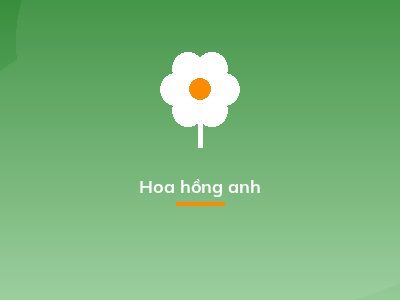 Hoa hồng anh