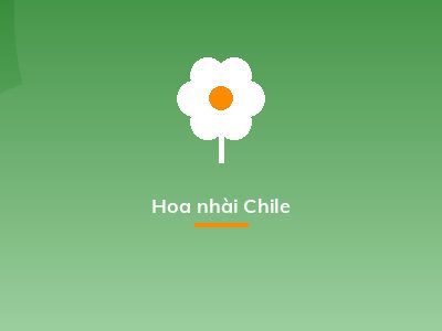 Hoa nhài Chile
