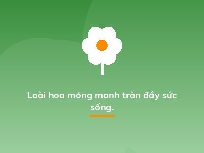 Loài hoa mỏng manh tràn đầy sức sống.