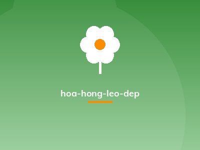 hoa-hong-leo-dep