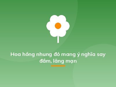 Hoa hồng nhung đỏ mang ý nghĩa say đắm, lãng mạn