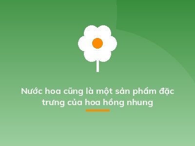 Nước hoa cũng là một sản phẩm đặc trưng của hoa hồng nhung