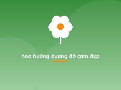hoa hướng dương đỏ cam đẹp