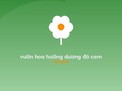 vườn hoa hướng dương đỏ cam