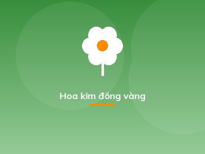 Hoa kim đồng vàng