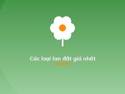 Các loại lan đắt giá nhất