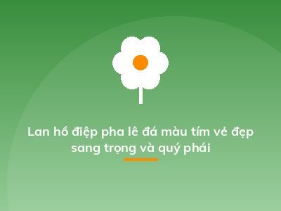 Lan hồ điệp pha lê đá màu tím vẻ đẹp sang trọng và quý phái