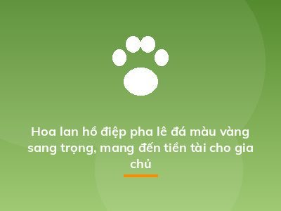 Hoa lan hồ điệp pha lê đá màu vàng sang trọng, mang đến tiền tài cho gia chủ