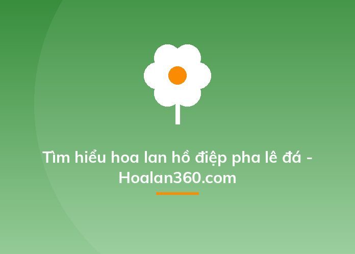 Tìm hiểu hoa lan hồ điệp pha lê đá - Hoalan360.com