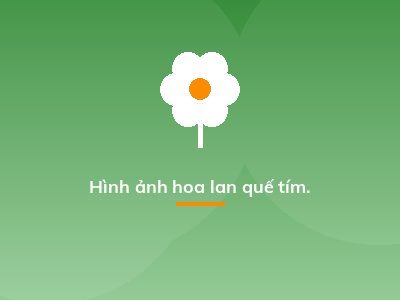 Hình ảnh hoa lan quế tím.