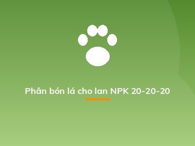 Phân bón lá cho lan NPK 20-20-20