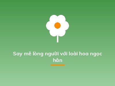 Say mê lòng người với loài hoa ngọc hân