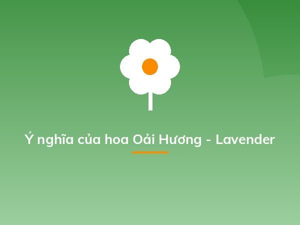Ý nghĩa của hoa Oải Hương - Lavender