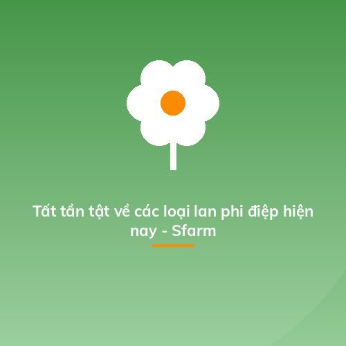 Tất tần tật về các loại lan phi điệp hiện nay - Sfarm
