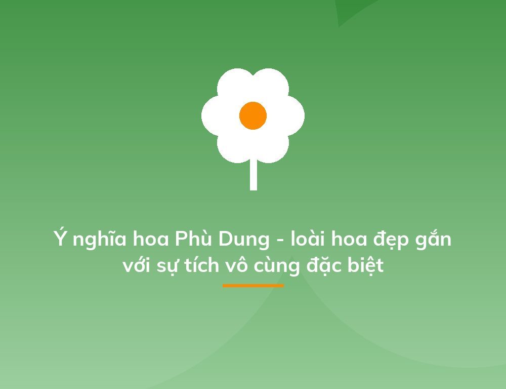 Ý nghĩa hoa Phù Dung - loài hoa đẹp gắn với sự tích vô cùng đặc biệt