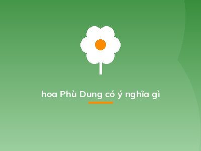 hoa Phù Dung có ý nghĩa gì
