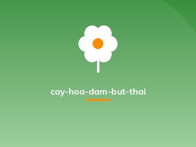 cay-hoa-dam-but-thai