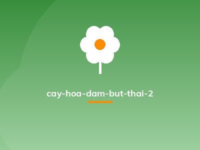 cay-hoa-dam-but-thai-2