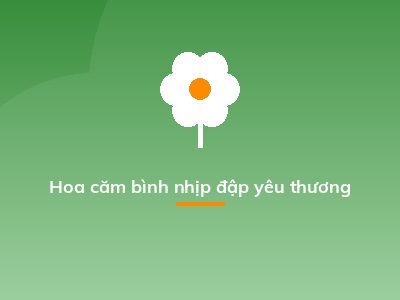 Hoa căm bình nhịp đập yêu thương