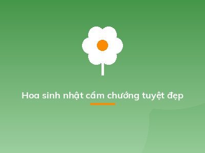 Hoa sinh nhật cẩm chướng tuyệt đẹp