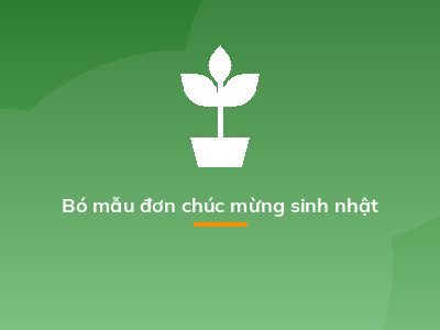 Bó mẫu đơn chúc mừng sinh nhật