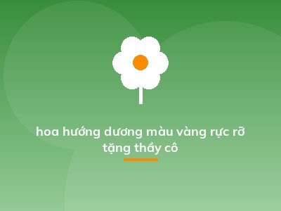 hoa hướng dương màu vàng rực rỡ tặng thầy cô