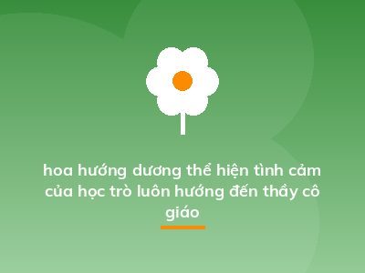 hoa hướng dương thể hiện tình cảm của học trò luôn hướng đến thầy cô giáo