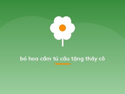 bó hoa cẩm tú cầu tặng thầy cô