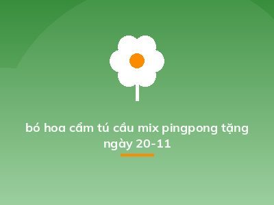 bó hoa cẩm tú cầu mix pingpong tặng ngày 20-11
