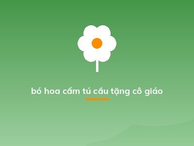 bó hoa cẩm tú cầu tặng cô giáo